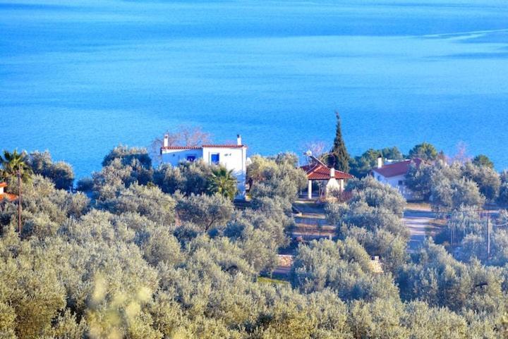 Four Independence Houses By The Sea Глифа Экстерьер фото