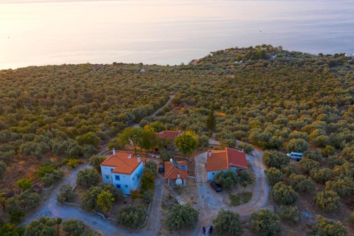 Four Independence Houses By The Sea Глифа Экстерьер фото